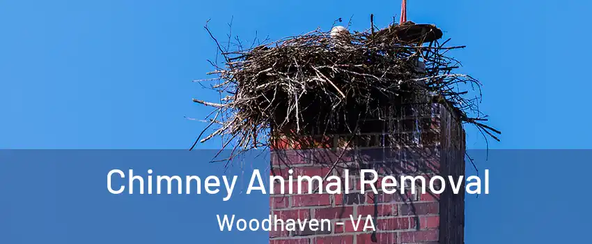 Chimney Animal Removal Woodhaven - VA