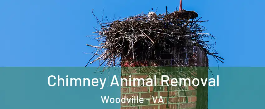 Chimney Animal Removal Woodville - VA