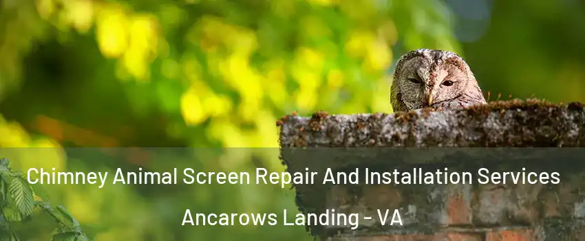 Chimney Animal Screen Repair And Installation Services Ancarows Landing - VA