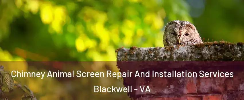 Chimney Animal Screen Repair And Installation Services Blackwell - VA