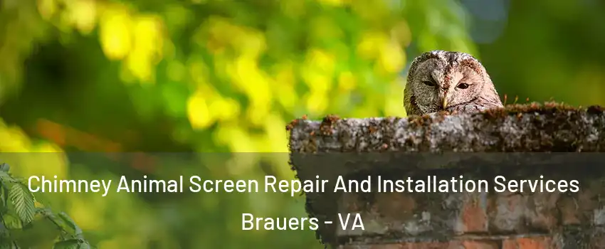 Chimney Animal Screen Repair And Installation Services Brauers - VA