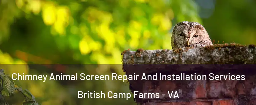 Chimney Animal Screen Repair And Installation Services British Camp Farms - VA