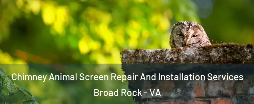 Chimney Animal Screen Repair And Installation Services Broad Rock - VA