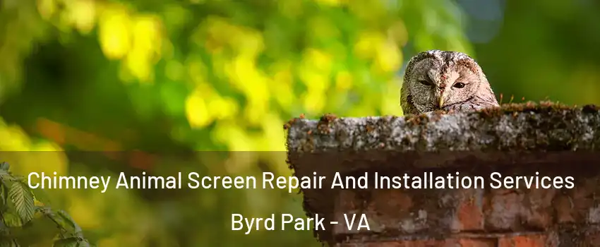 Chimney Animal Screen Repair And Installation Services Byrd Park - VA