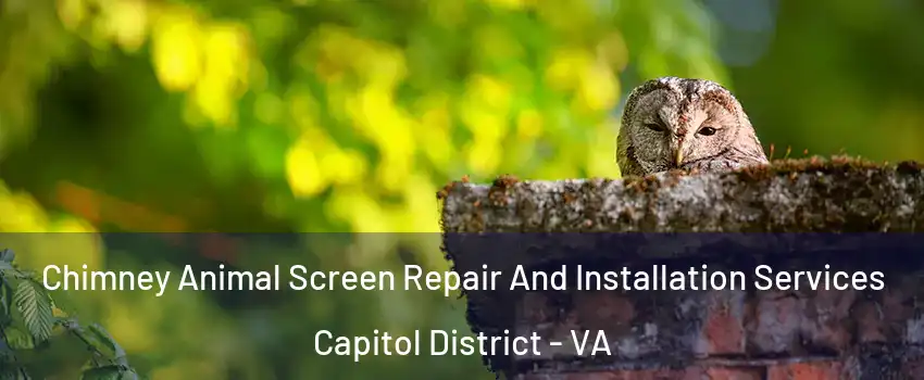 Chimney Animal Screen Repair And Installation Services Capitol District - VA