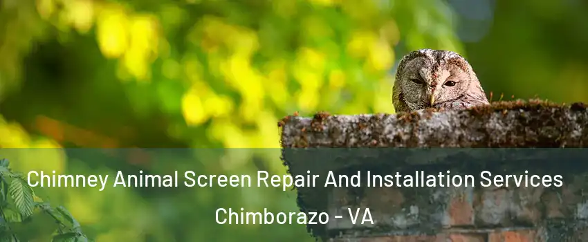 Chimney Animal Screen Repair And Installation Services Chimborazo - VA