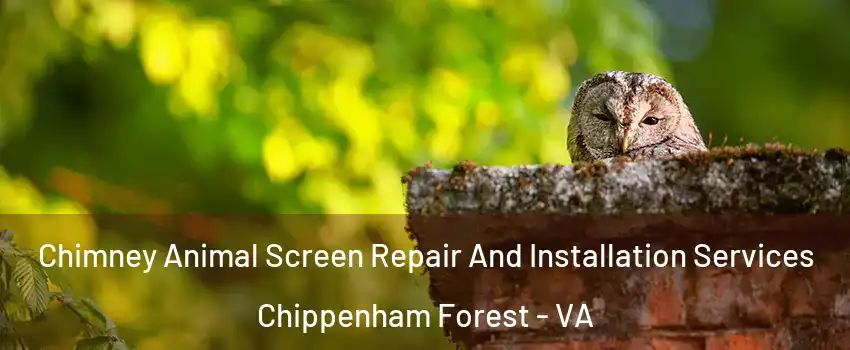 Chimney Animal Screen Repair And Installation Services Chippenham Forest - VA