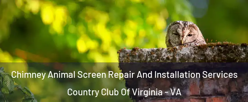 Chimney Animal Screen Repair And Installation Services Country Club Of Virginia - VA