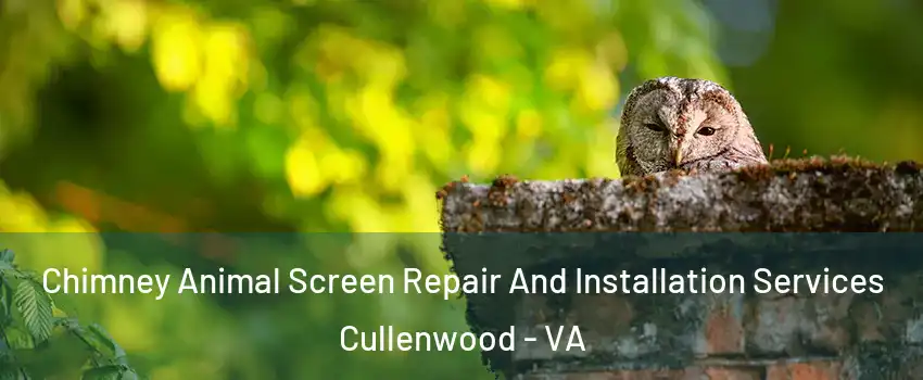 Chimney Animal Screen Repair And Installation Services Cullenwood - VA
