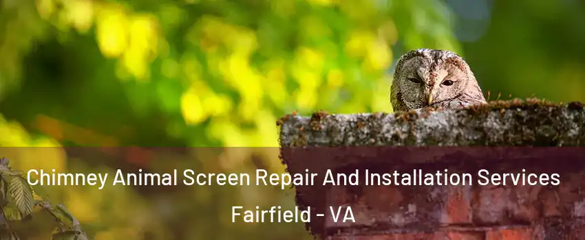 Chimney Animal Screen Repair And Installation Services Fairfield - VA