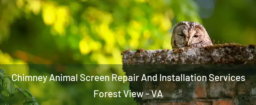 Chimney Animal Screen Repair And Installation Services Forest View - VA