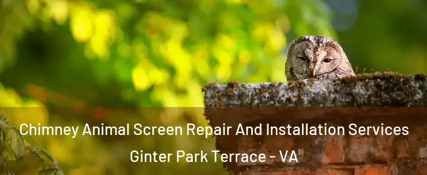 Chimney Animal Screen Repair And Installation Services Ginter Park Terrace - VA