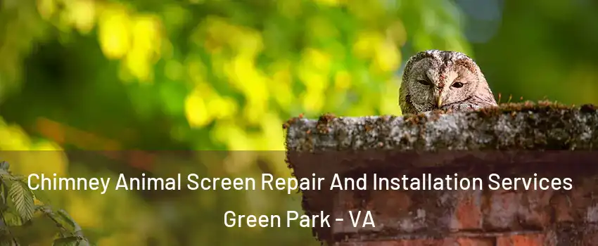 Chimney Animal Screen Repair And Installation Services Green Park - VA