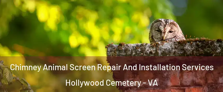 Chimney Animal Screen Repair And Installation Services Hollywood Cemetery - VA