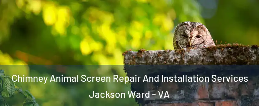 Chimney Animal Screen Repair And Installation Services Jackson Ward - VA