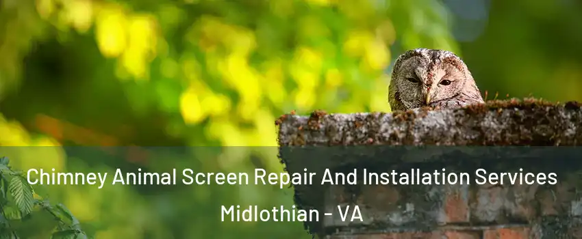 Chimney Animal Screen Repair And Installation Services Midlothian - VA