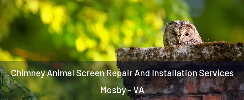 Chimney Animal Screen Repair And Installation Services Mosby - VA