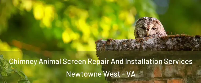 Chimney Animal Screen Repair And Installation Services Newtowne West - VA