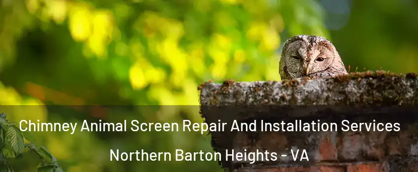Chimney Animal Screen Repair And Installation Services Northern Barton Heights - VA