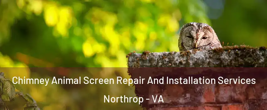 Chimney Animal Screen Repair And Installation Services Northrop - VA