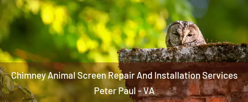 Chimney Animal Screen Repair And Installation Services Peter Paul - VA