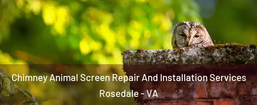 Chimney Animal Screen Repair And Installation Services Rosedale - VA