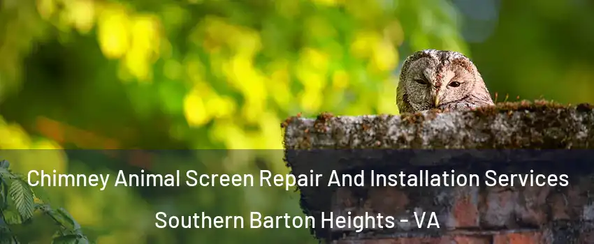 Chimney Animal Screen Repair And Installation Services Southern Barton Heights - VA
