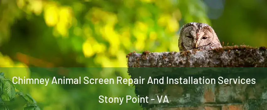 Chimney Animal Screen Repair And Installation Services Stony Point - VA