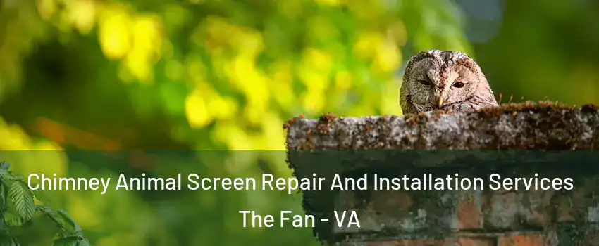 Chimney Animal Screen Repair And Installation Services The Fan - VA