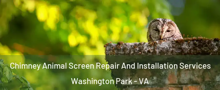 Chimney Animal Screen Repair And Installation Services Washington Park - VA