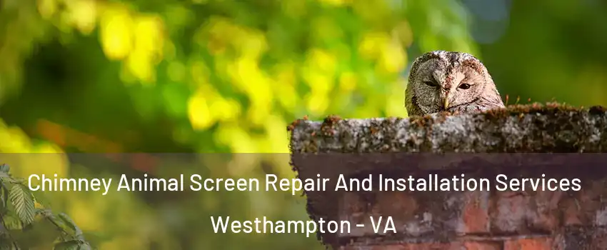 Chimney Animal Screen Repair And Installation Services Westhampton - VA