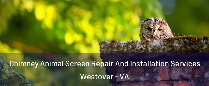 Chimney Animal Screen Repair And Installation Services Westover - VA