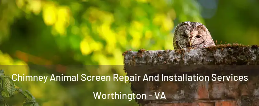 Chimney Animal Screen Repair And Installation Services Worthington - VA