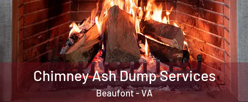 Chimney Ash Dump Services Beaufont - VA