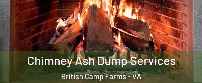 Chimney Ash Dump Services British Camp Farms - VA
