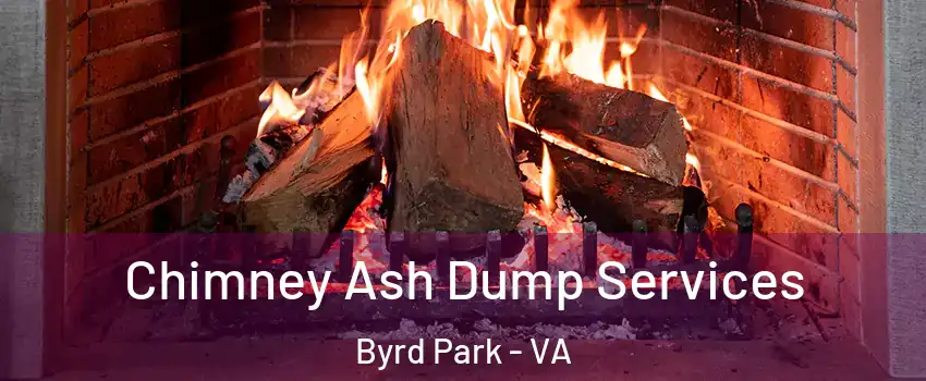 Chimney Ash Dump Services Byrd Park - VA