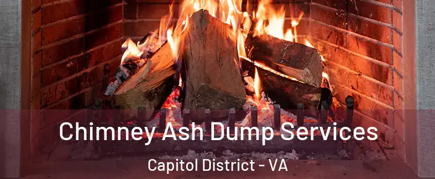 Chimney Ash Dump Services Capitol District - VA