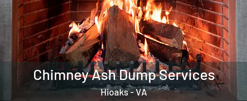 Chimney Ash Dump Services Hioaks - VA