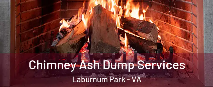 Chimney Ash Dump Services Laburnum Park - VA