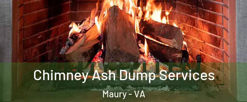 Chimney Ash Dump Services Maury - VA