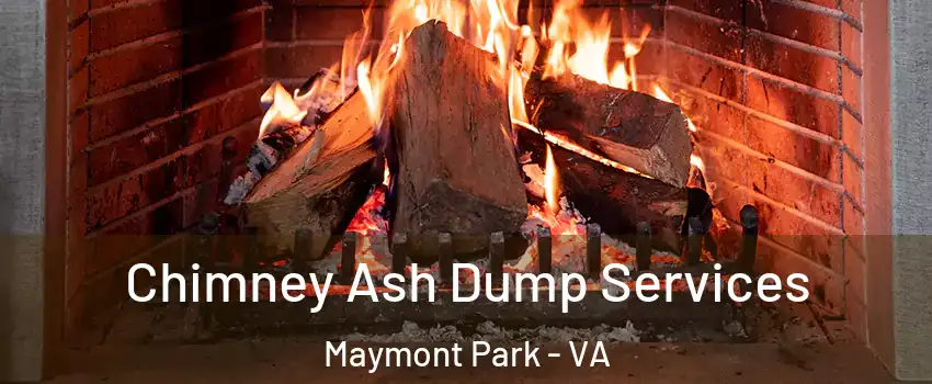 Chimney Ash Dump Services Maymont Park - VA