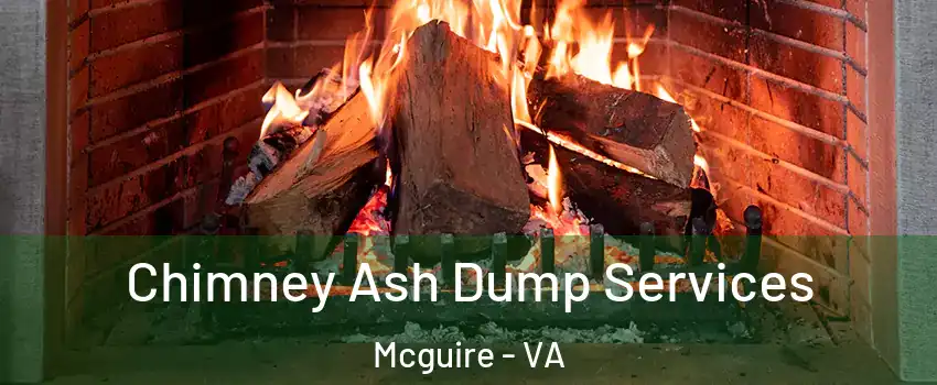 Chimney Ash Dump Services Mcguire - VA