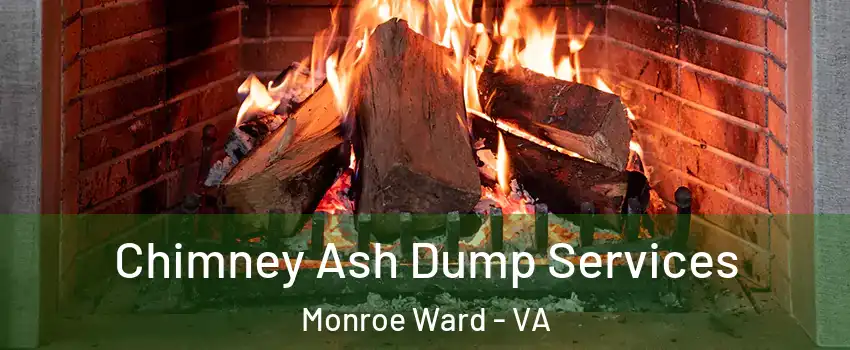 Chimney Ash Dump Services Monroe Ward - VA