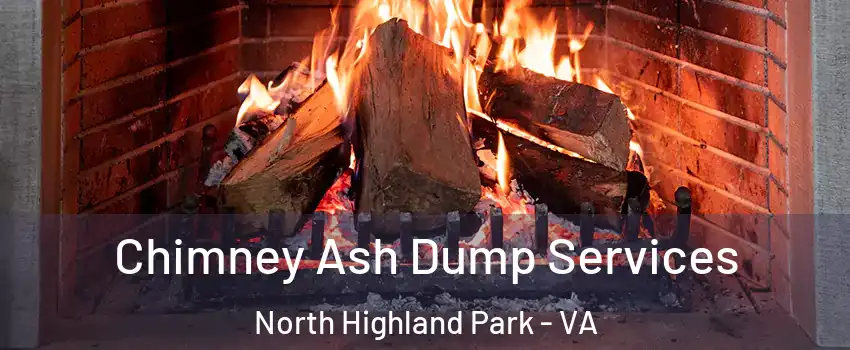 Chimney Ash Dump Services North Highland Park - VA
