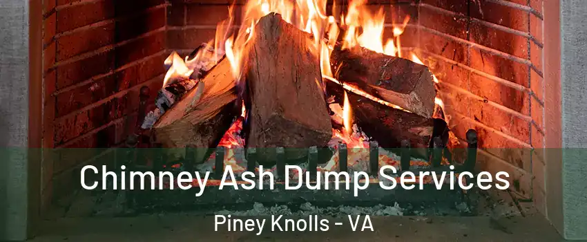 Chimney Ash Dump Services Piney Knolls - VA