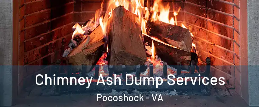 Chimney Ash Dump Services Pocoshock - VA