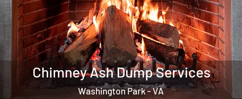 Chimney Ash Dump Services Washington Park - VA