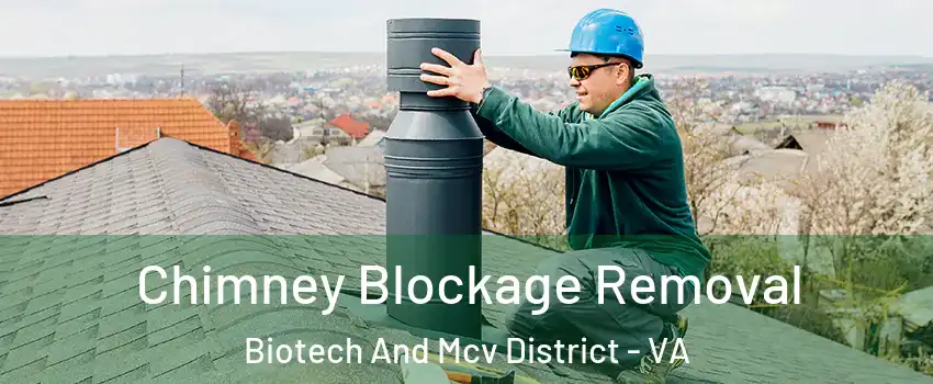 Chimney Blockage Removal Biotech And Mcv District - VA