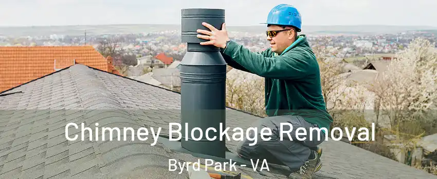 Chimney Blockage Removal Byrd Park - VA