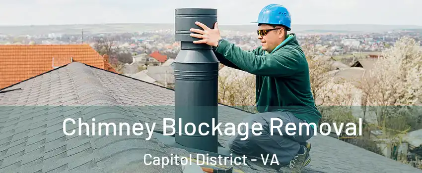 Chimney Blockage Removal Capitol District - VA
